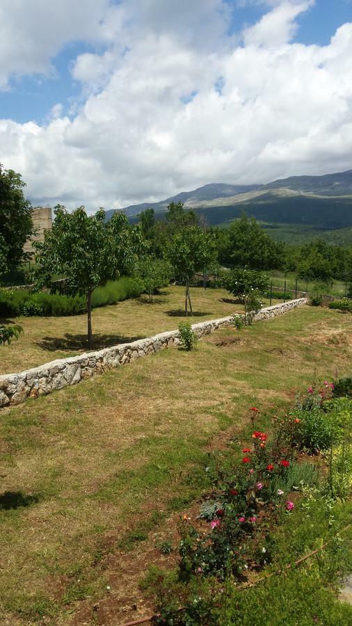 Villa Cetina Milasi Exterior foto